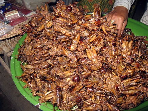Paistettuja hyönteiseiä Kambodzassa